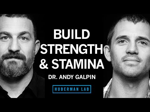 Dr. Andy Galpin: How to Build Strength, Muscle Size &amp; Endurance | Huberman Lab Podcast #65