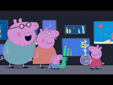 🔴 Nonstop Peppa Pig Livestream - Join the Fun 24/7! 🐷🎉