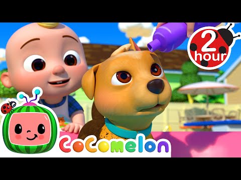 Bingo Needs A Bath! | CoComelon Kids Songs &amp; Nursery Rhymes