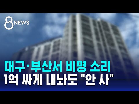 &quot;하루 종일 손님 한 명&quot;&hellip;대구&middot;부산 공인중개사 '휑' / SBS 8뉴스