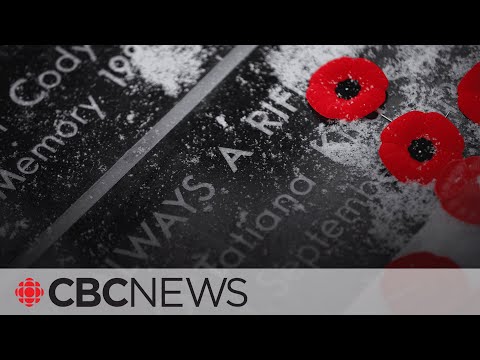 Remembrance Day 2023 | CBC News Special