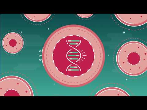 What is cell &amp;amp; gene therapy?