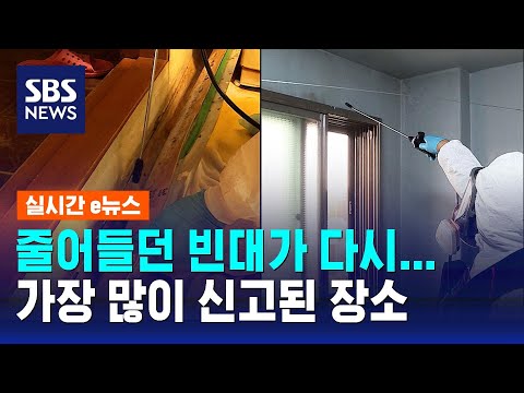 줄어들던 '빈대', 다시 늘어났다&hellip;가장 많이 신고된 장소 / SBS /  실시간 e뉴스