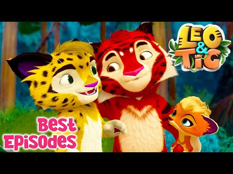 LEO and TIG ? ? Best Episodes 2022 ? Episodes collection ? Moolt Kids Toons Happy Bear