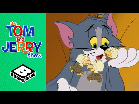 Three Baby Birds | Tom and Jerry | Boomerang UK