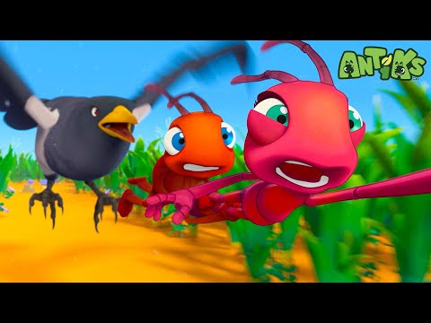 Get Away From Birdie! | 1 Hour Antiks Full Episodes