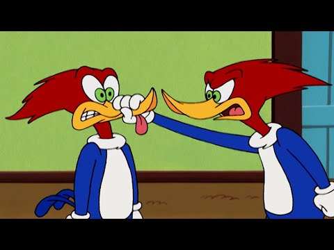 Woody Woodpecker | Woody Clones Himself + More Full Episodes