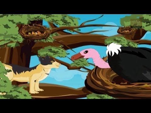 Jataka Tales - The Foolish Vulture - Birds Stories - Moral Stories for Children