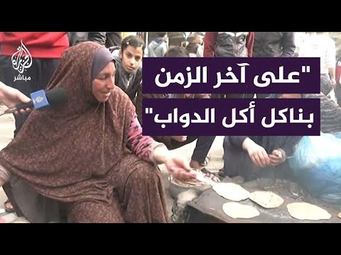 النايلون بدلا من الحطب.. نازحات غزة يقضين النهار بأكمله لطبخ وجبة واحدة بأدوات غير صحية