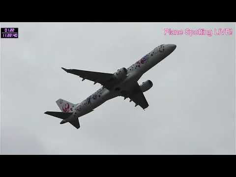 Plane Spotting LIVE!!  Osaka International　Airport 　01/22/2024