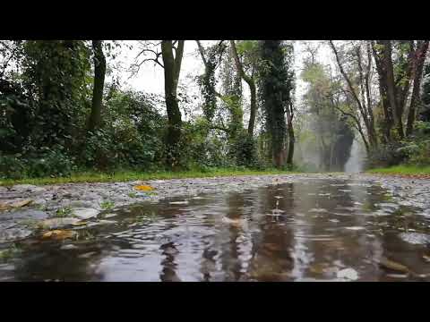 8 horas Som de Chuva leve e calma - Tela Preta - Som e musica para relaxar, dormir