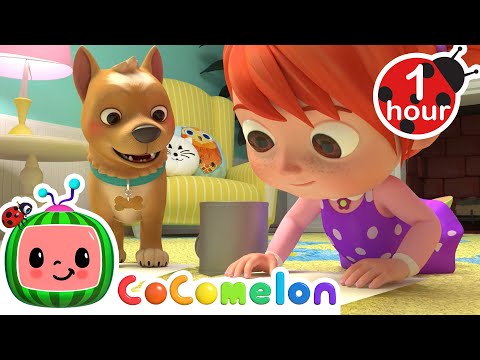 Bingo, mi perrito | Canciones Infantiles | Caricaturas para bebes | CoComelon en Espa&ntilde;ol