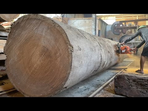 Wood Cutting Techniques. The Largest Wood Processing Factory in the Modern World