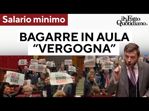 Salario minimo, Rizzetto (FdI) contro l'opposizione. Bagarre in aula, cartelli e slogan: &quot;vergogna&quot;