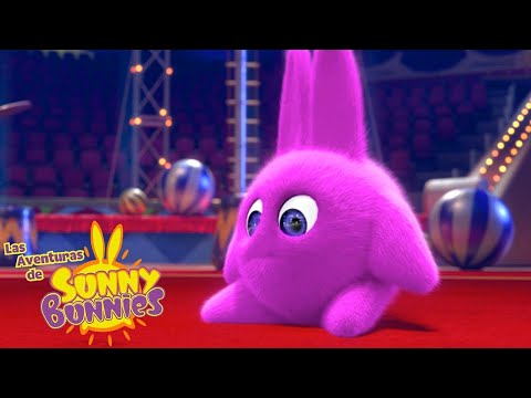 Las Aventuras de Sunny Bunnies | Aterrizaje pesado! | Dibujos para ni&ntilde;os