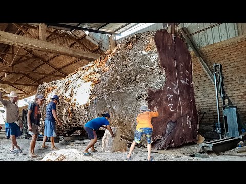 Abstract shape !! Trembesi wood fiber worth hundreds of millions of rupiah was sawed off by sawmill