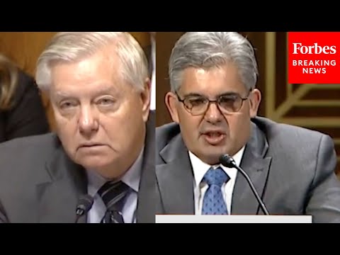 'Did You Write That?': Graham Grills Judicial Nominee About Sentencing For Convicted Criminal