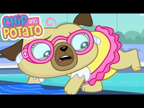 Chip and Potato | Chip Very First Swimming Lesson | Cartoons For Kids