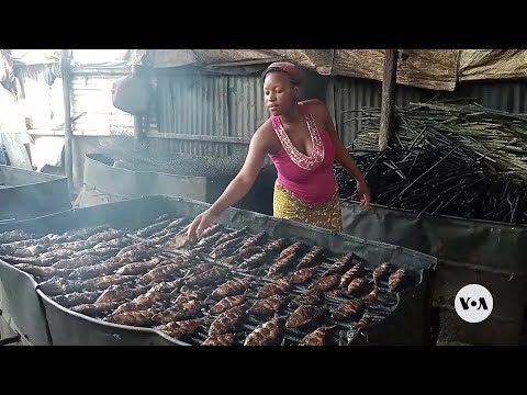 Republic of Congo&rsquo;s Traditional Fish Smoking Threatens Forests | VOANews