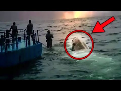 What They Discovered In China Shocked The Whole World