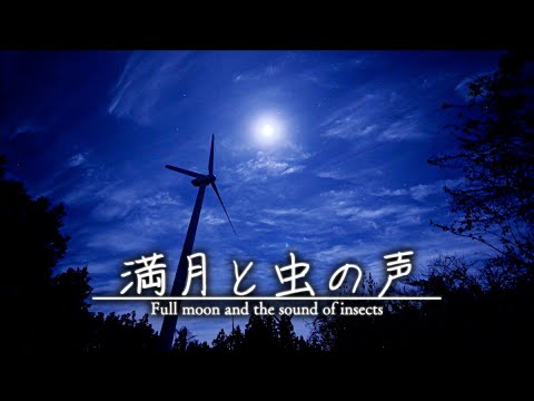 Last full moon of 2022 and the sound of insects