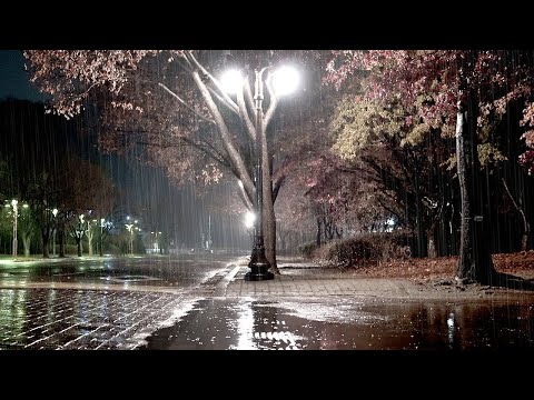 Calm Rainsounds in the night park, White noise like a Lullaby, relaxation &amp; ASMR that helps relax.