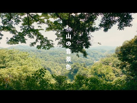 山の音景色。鳥の歌と風のささやき | 自然の音 | 3時間 ambient sound |  ASMR |  癒し＆睡眠