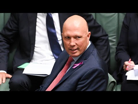 &amp;lsquo;Put your money on it&amp;rsquo;: Rowan Dean &amp;lsquo;guarantees&amp;rsquo; Peter Dutton will win federal election