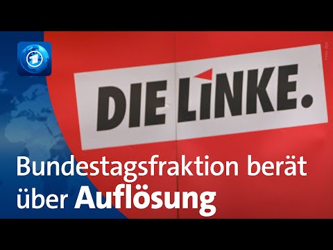 Die Linke: Wie geht es weiter mit der Bundestagsfraktion?