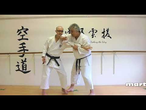 gedan barai Bunkai Strategies 2023 week 43 koryu karate oyo jutsu