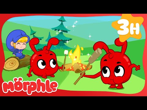 Learn About Nature on Morphle's Summer Camping Trip! 🌿 My Magic Pet Morphle | Kids Cartoons