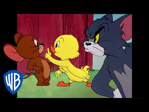 Tom y Jerry en Latino | &iexcl;Peque&ntilde;o Patito, el m&aacute;s lindo! | WB Kids