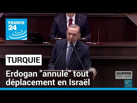 Recep Tayyip Erdogan &quot;annule&quot; tous ses projets de d&eacute;placements en Isra&euml;l &bull; FRANCE 24