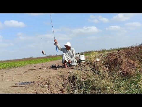 Fishing amidst agriculture