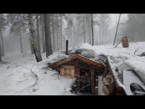 Waiting for a SNOWSTORM, I'm hiding in a forest house underground