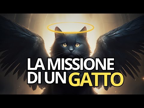 🐱 La missione dei GATTI | Perchè i gatti entrano nella tua vita?