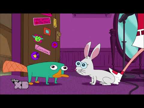 Phineas and Ferb - Perrysode - No More Bunny Business