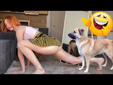 Best Funny Videos Compilation 🤣 / Funny Moments Of The Week #67 Cute