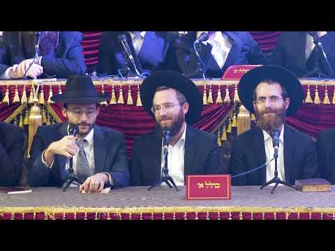 Farher 2023, Berman, Chaim Peretz