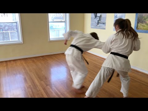 Bunkai: Pinan Nidan, Count 2-3