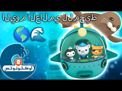 أوكتونوتس | ? اليوم العالمي للمحيط ? | حلقات مجمعة