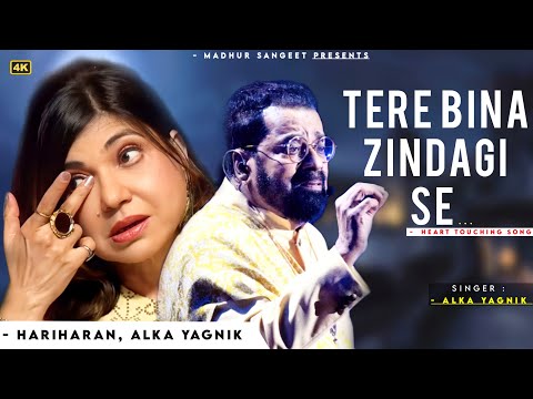 Tere Bina Zindagi Se Koi Shikwa To Nahi - Alka Yagnik | Hariharan, Rahul Dev | Dil Vil Pyar Vyar