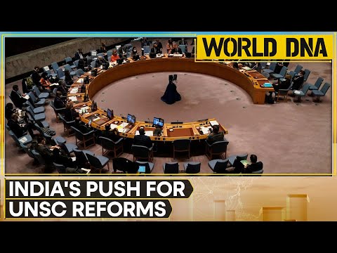 UN recognises need for reform within security council; UN facing a crisis of credibility, says India