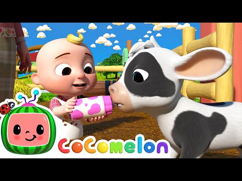 Ol' MacDonald - Baby Animals | CoComelon Animal Time | Animals for Kids