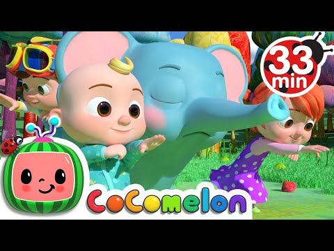 Animal Dance + More Nursery Rhymes &amp; Kids Songs - CoComelon