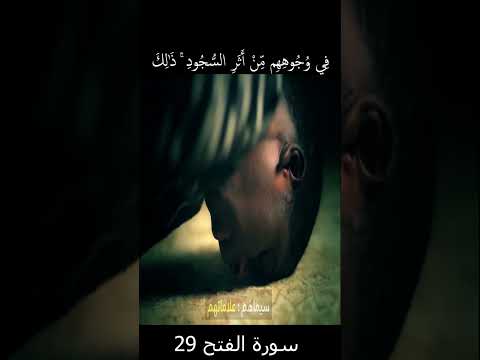 سورة الفتح 29