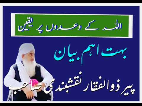 اللہ کے وعدوں پر یقین |پیرِ ذوالفقار صاحب نقشبندی | Allah K wado Par Yaqeen |peer zulfaqar bayan