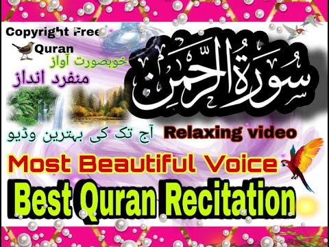 Surah Ar  Rahman Recitation ❤️ Healing - Heart Soothing Quranic Verses | Copyright Free Quran