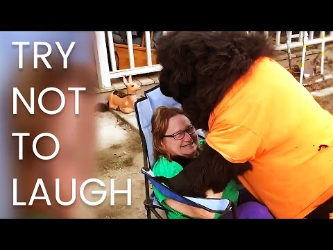 [2 HR] TRY NOT TO LAUGH Challenge 🤣 🤣  Best of the WORST FAILS!! Funny Videos Compilation | AFV 2023