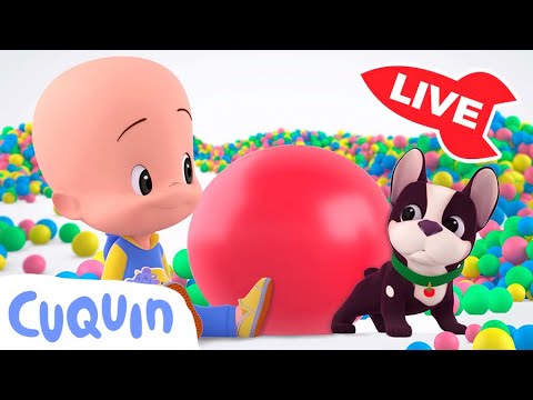 🔴 LIVE 🔴 Learn colors, numbers and shapes with Cuqu&iacute;n | Educational videos for kids